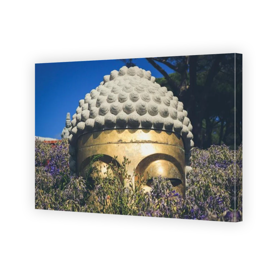 Thumbnail for Canvas - Mirror Image Canvas Wrap
