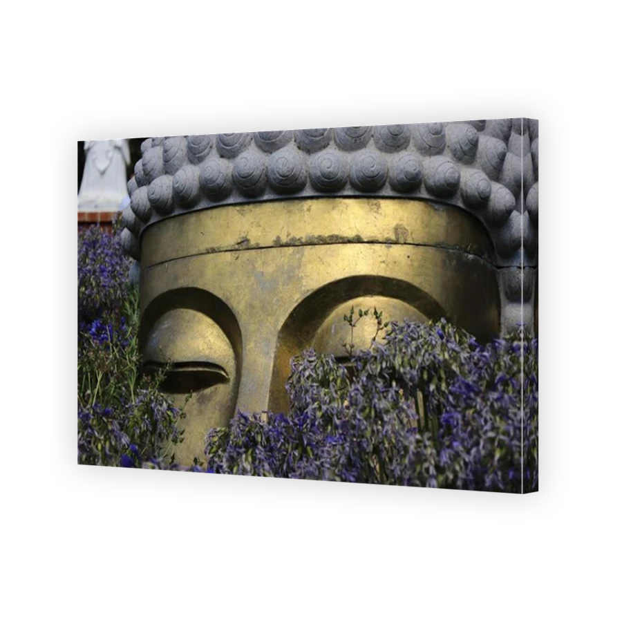 Thumbnail for Canvas - Mirror Image Canvas Wrap