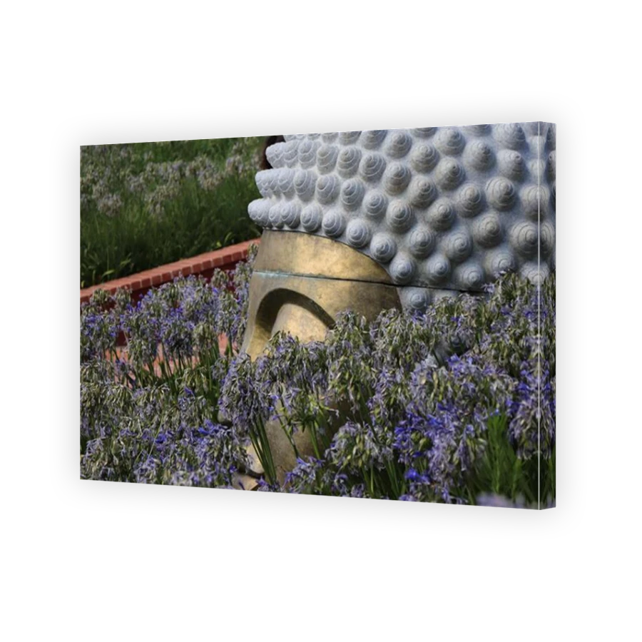 Thumbnail for Canvas - Mirror Image Canvas Wrap