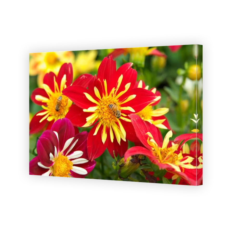 Thumbnail for Canvas - Mirror Image Canvas Wrap