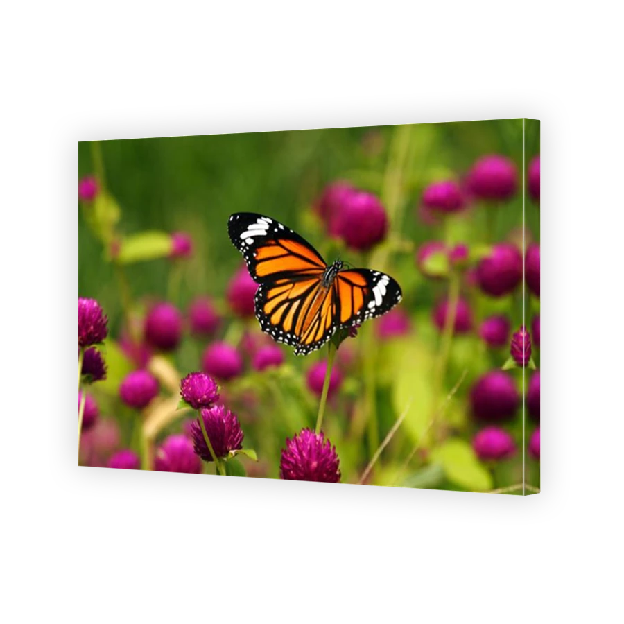 Thumbnail for Canvas - Mirror Image Canvas Wrap