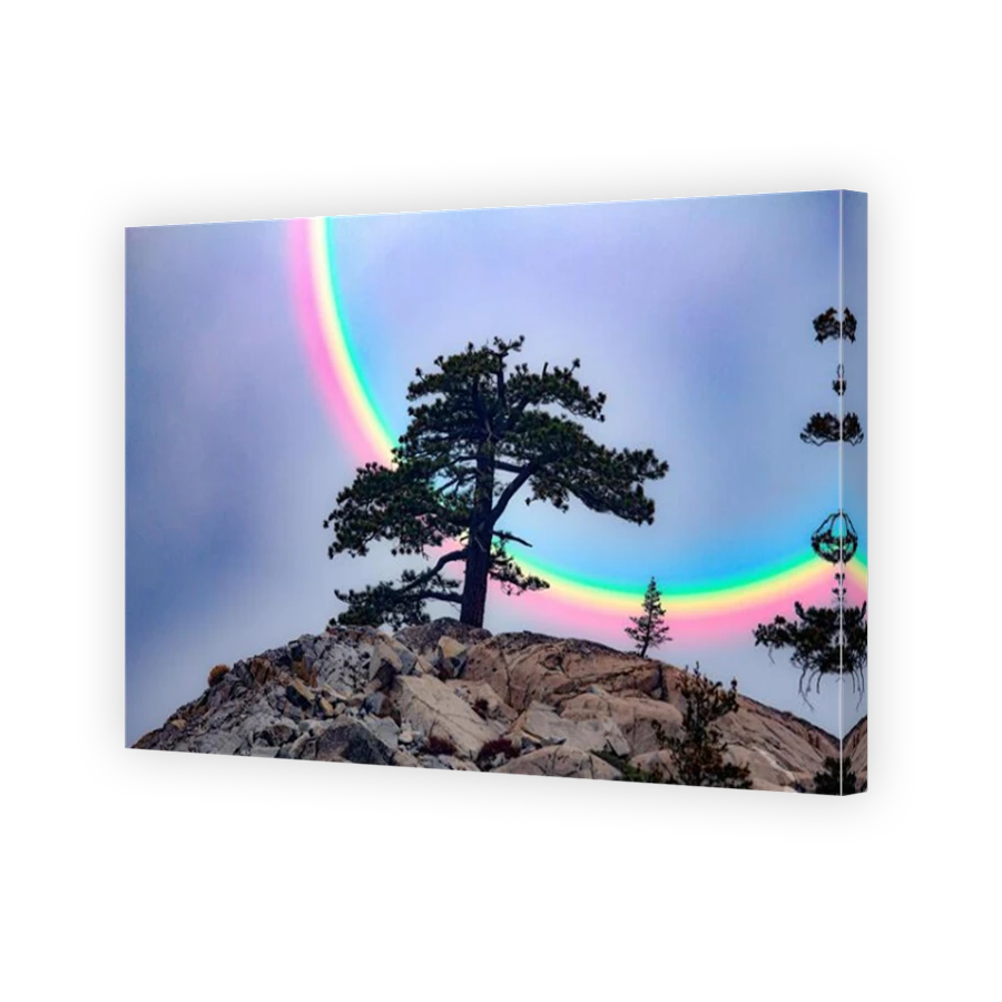 Thumbnail for Canvas - Mirror Image Canvas Wrap