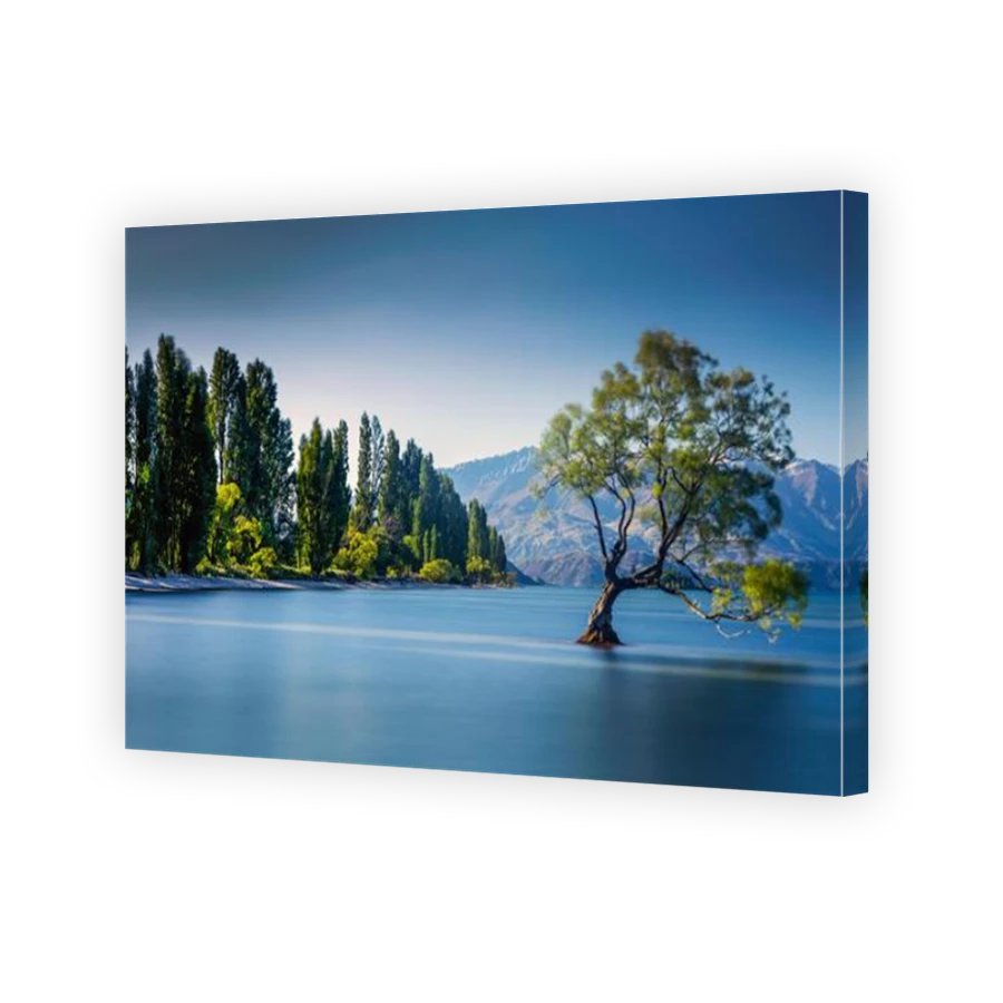 Thumbnail for Canvas - Mirror Image Canvas Wrap