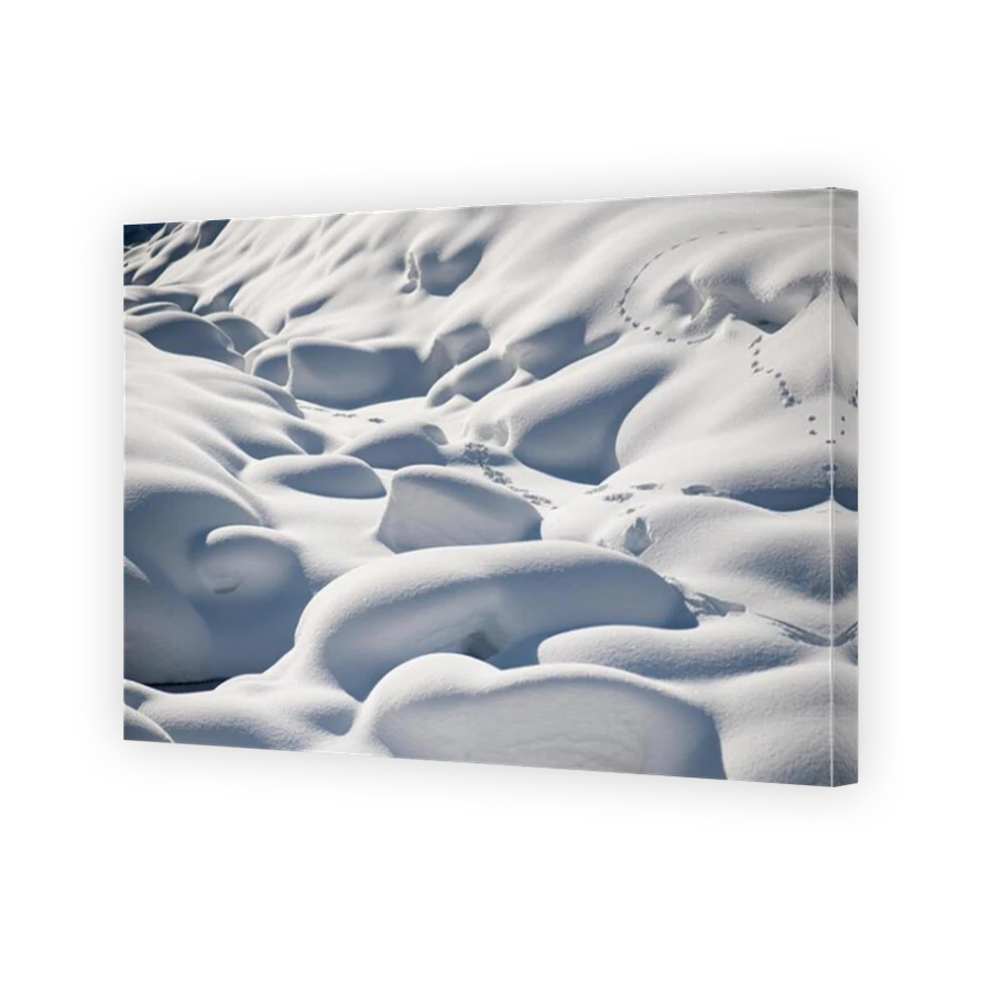 Thumbnail for Canvas - Mirror Image Canvas Wrap