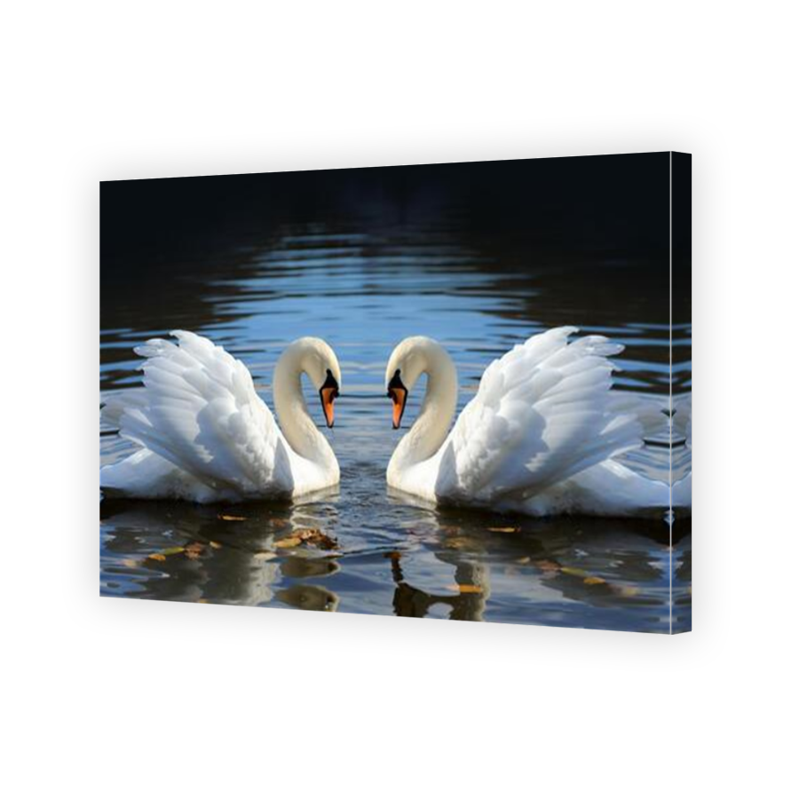 Thumbnail for Canvas - Mirror Image Canvas Wrap