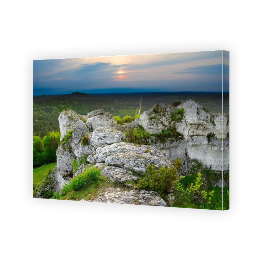 Thumbnail for Canvas - Mirror Image Canvas Wrap