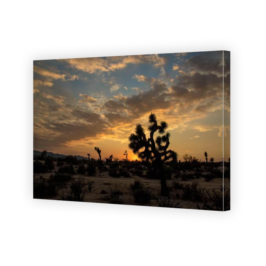 Thumbnail for Canvas - Mirror Image Canvas Wrap