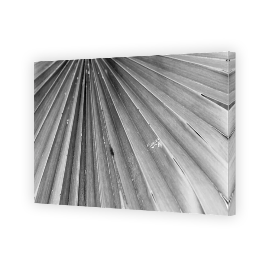 Thumbnail for Canvas - Mirror Image Canvas Wrap