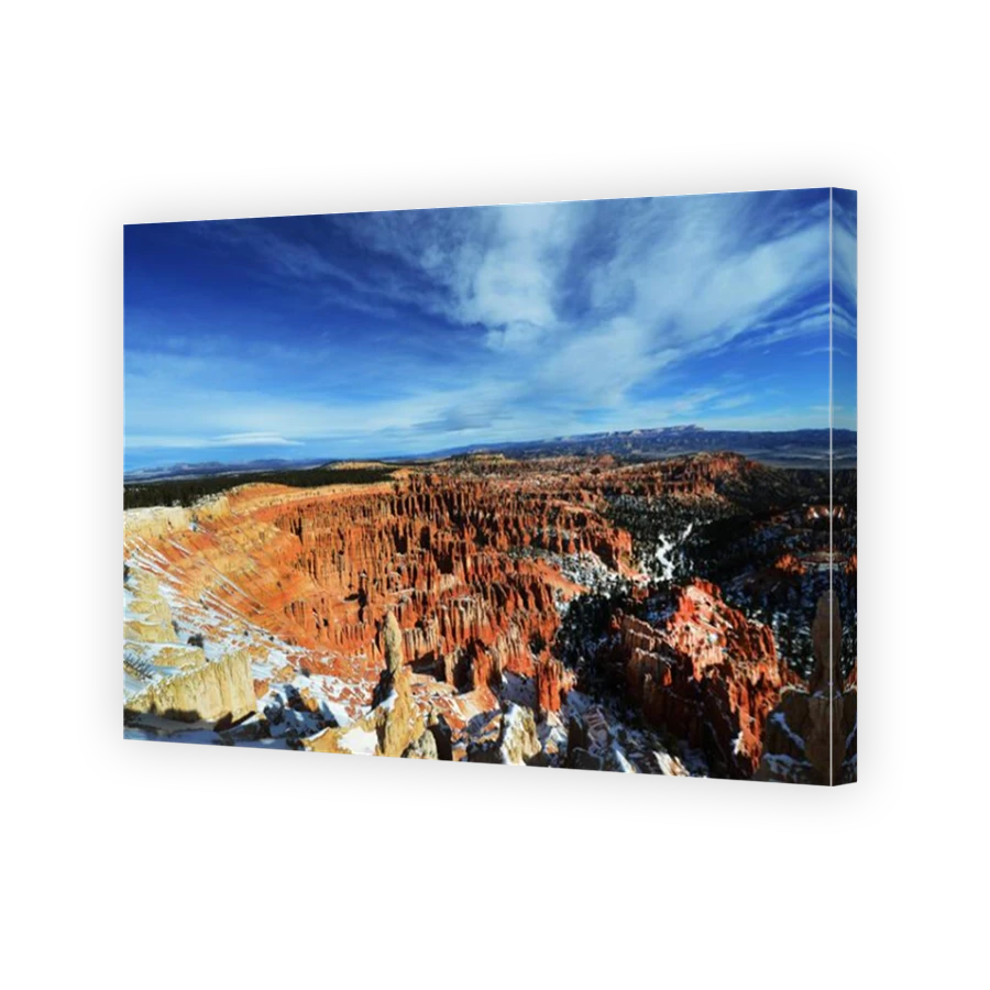 Thumbnail for Canvas - Mirror Image Canvas Wrap