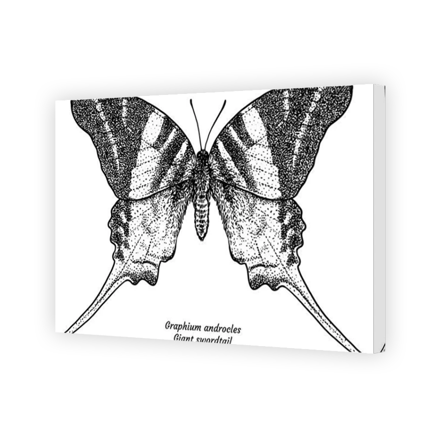 Thumbnail for Canvas - Mirror Image Canvas Wrap