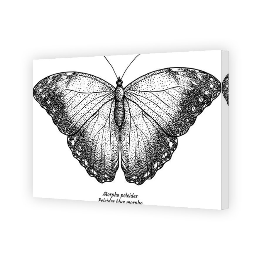 Thumbnail for Canvas - Mirror Image Canvas Wrap