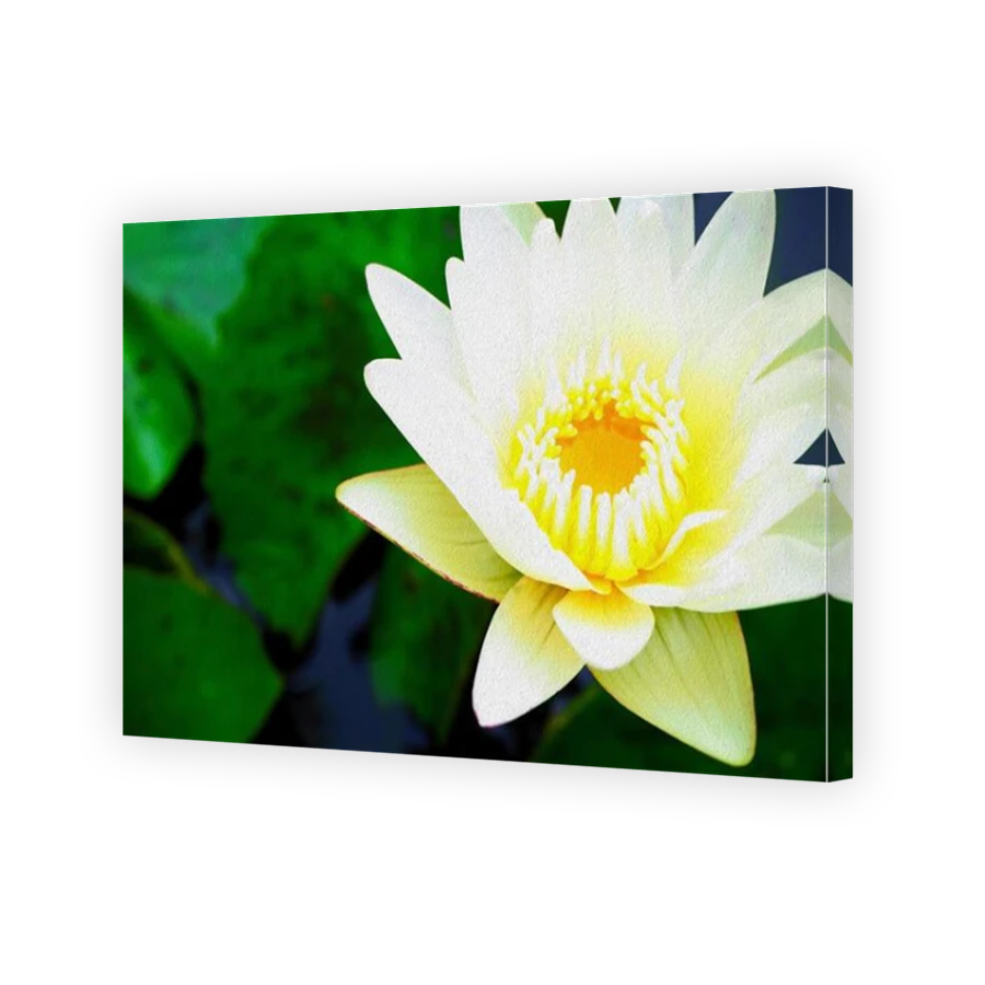 Thumbnail for Canvas - Mirror Image Canvas Wrap