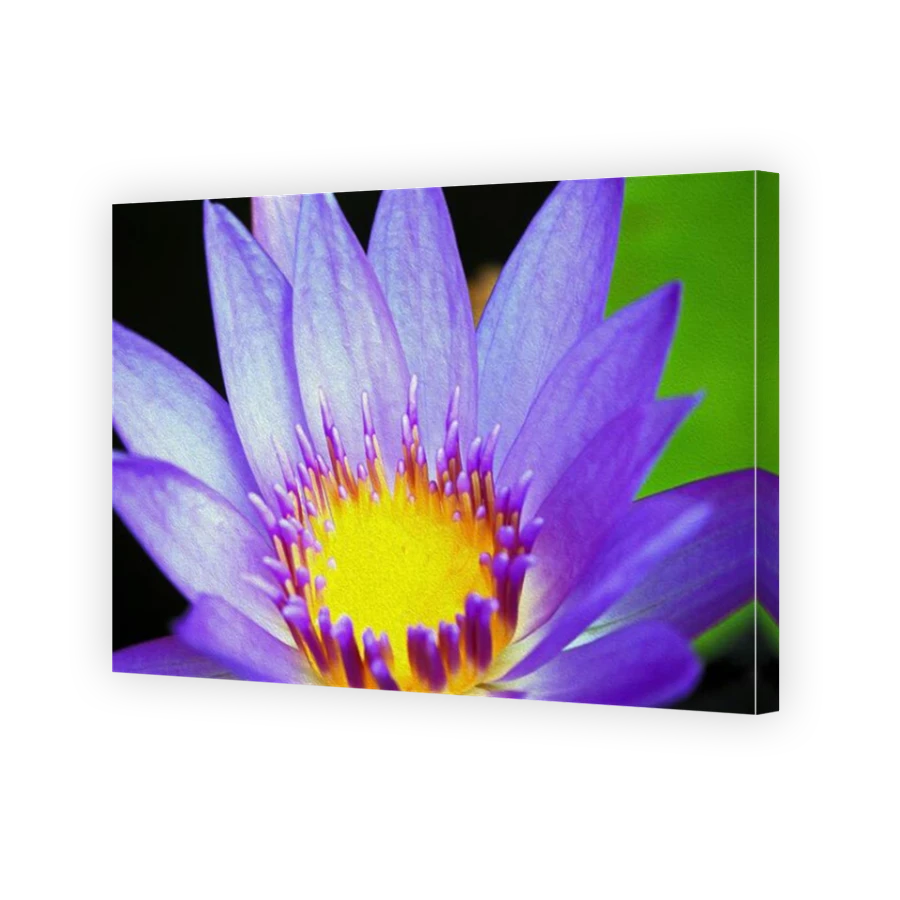 Thumbnail for Canvas - Mirror Image Canvas Wrap