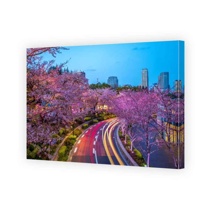 Thumbnail for Canvas - Mirror Image Canvas Wrap