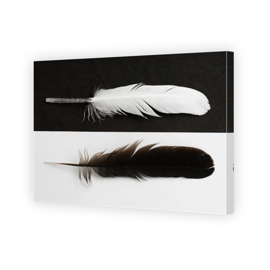 Thumbnail for Canvas - Mirror Image Canvas Wrap