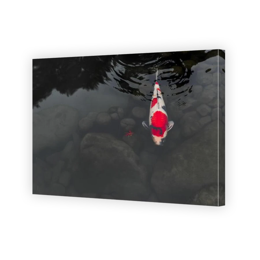 Thumbnail for Canvas - Mirror Image Canvas Wrap