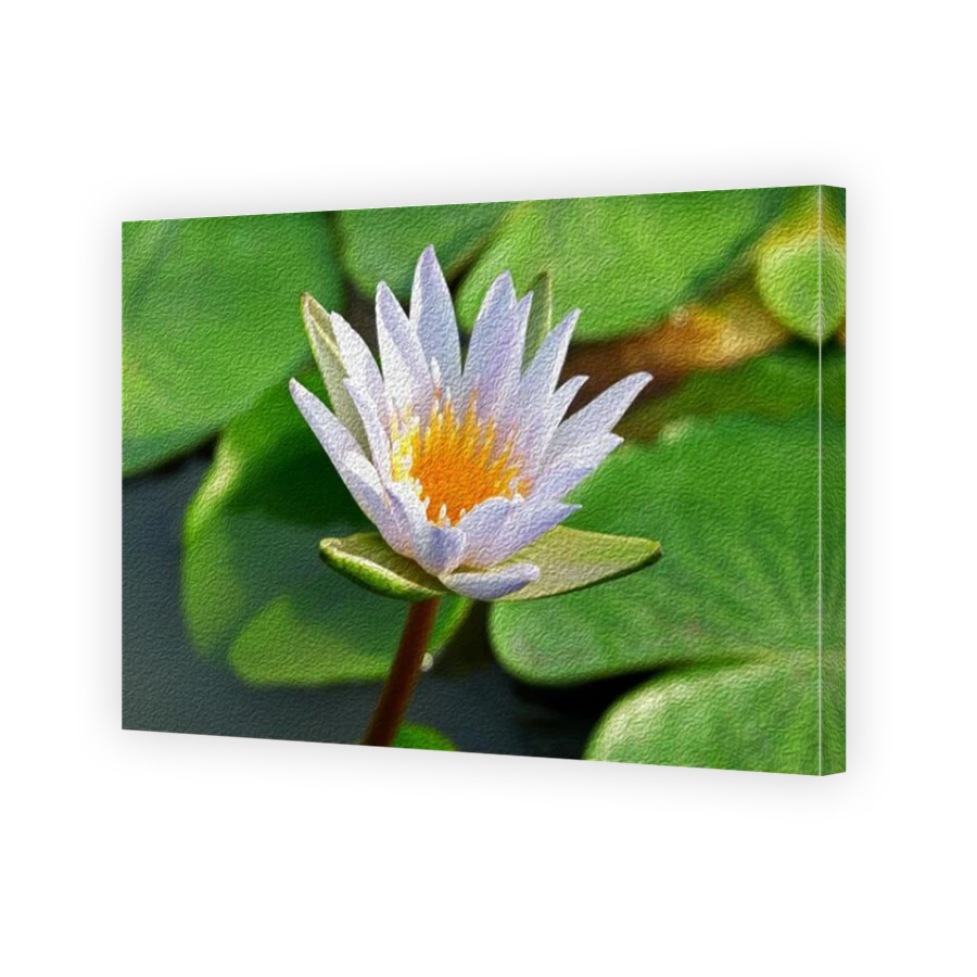 Thumbnail for Canvas - Mirror Image Canvas Wrap