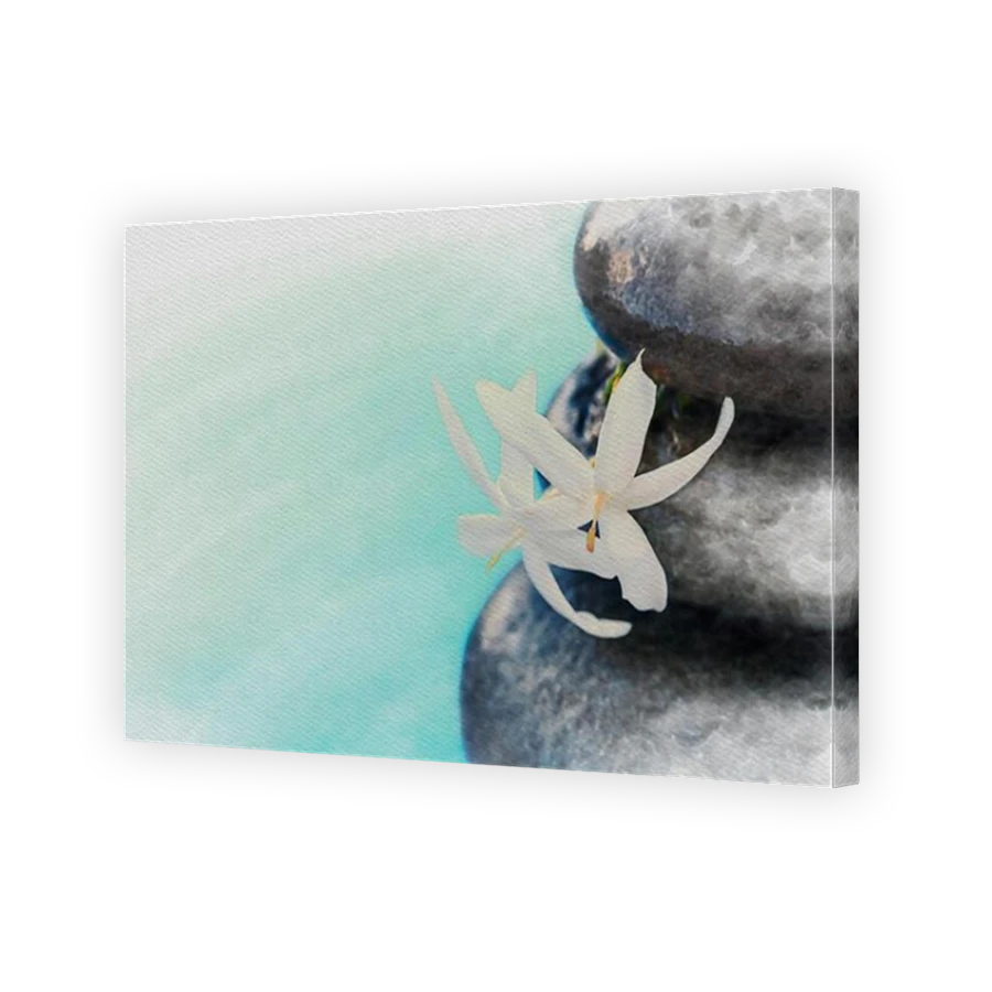 Thumbnail for Canvas - Mirror Image Canvas Wrap