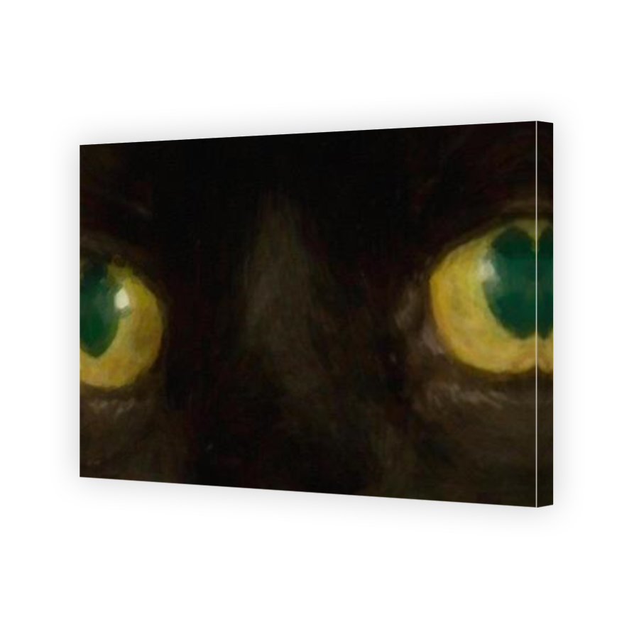 Thumbnail for Canvas - Mirror Image Canvas Wrap