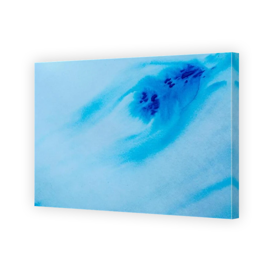 Thumbnail for Canvas - Mirror Image Canvas Wrap