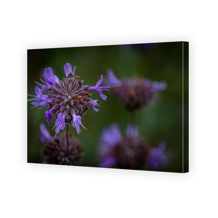 Thumbnail for Canvas - Mirror Image Canvas Wrap