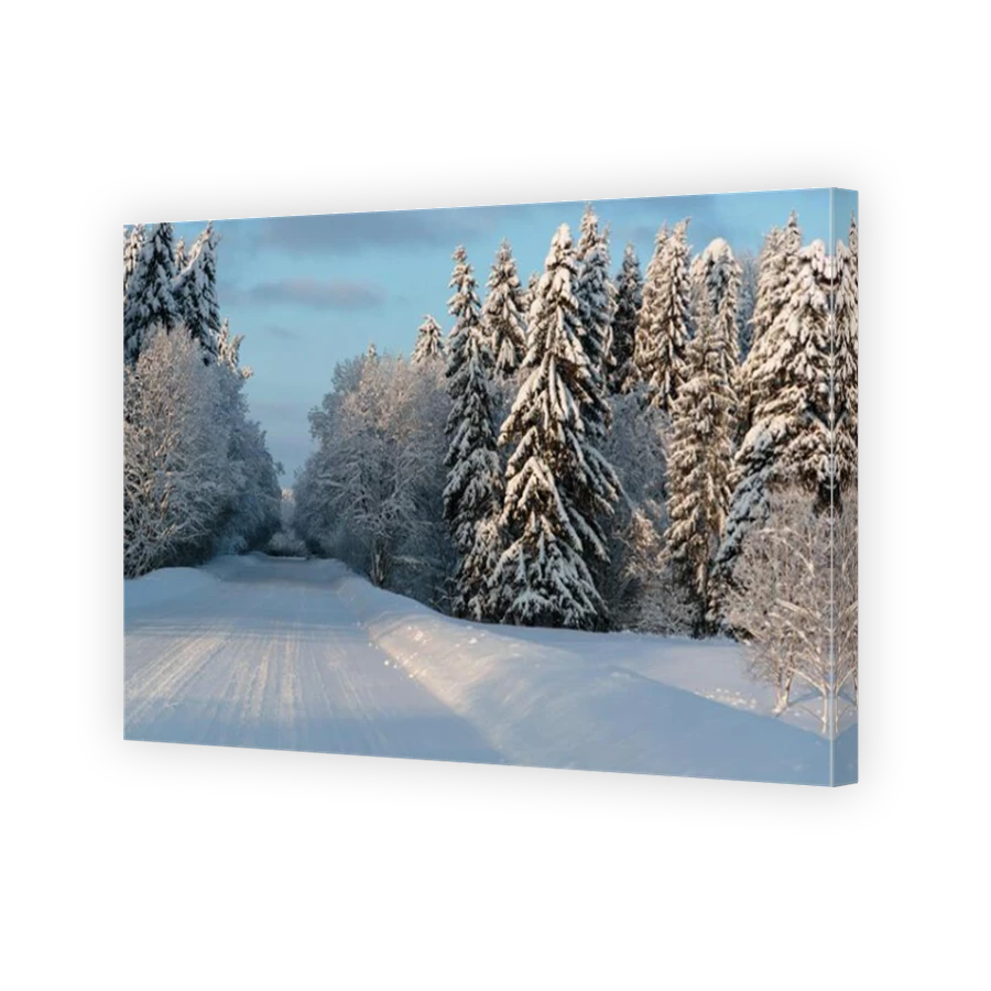 Thumbnail for Canvas - Mirror Image Canvas Wrap