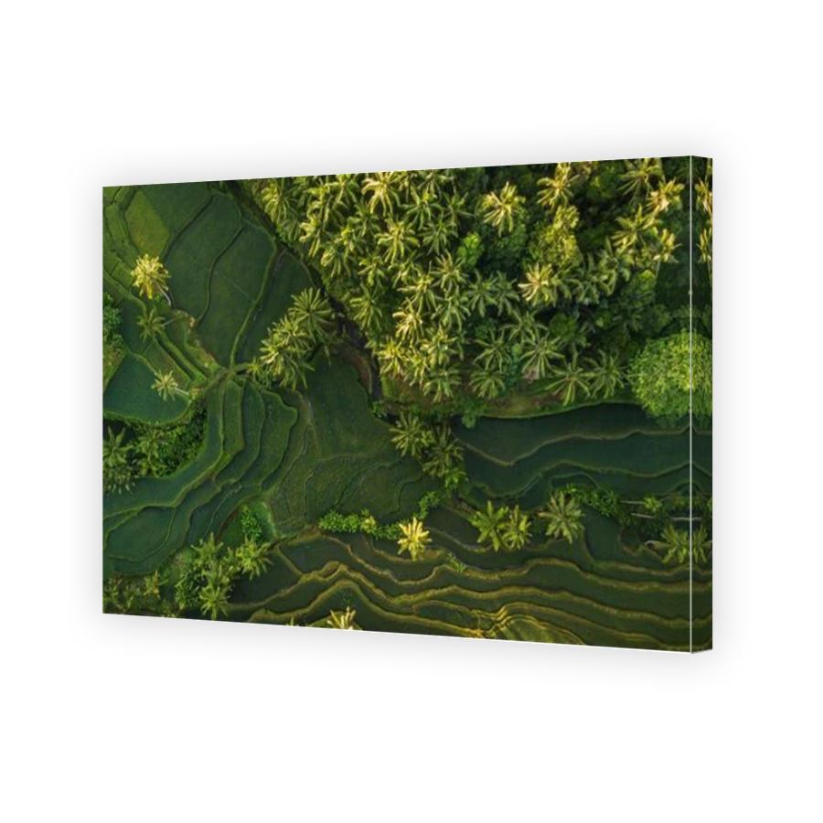 Thumbnail for Canvas - Mirror Image Canvas Wrap
