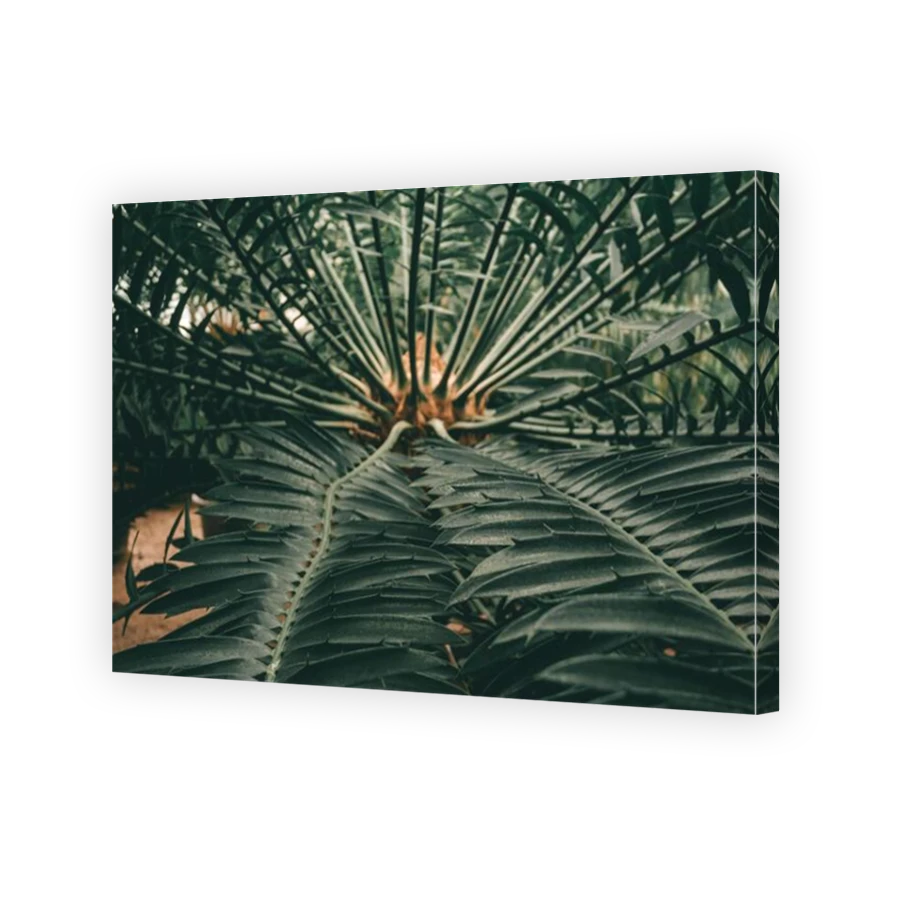 Thumbnail for Canvas - Mirror Image Canvas Wrap
