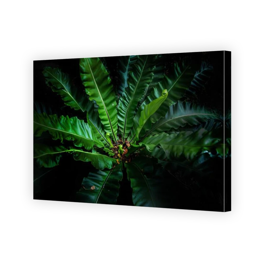 Thumbnail for Canvas - Mirror Image Canvas Wrap