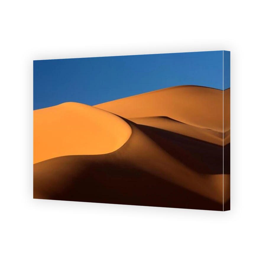 Thumbnail for Canvas - Mirror Image Canvas Wrap