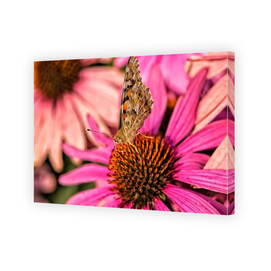 Thumbnail for Canvas - Mirror Image Canvas Wrap
