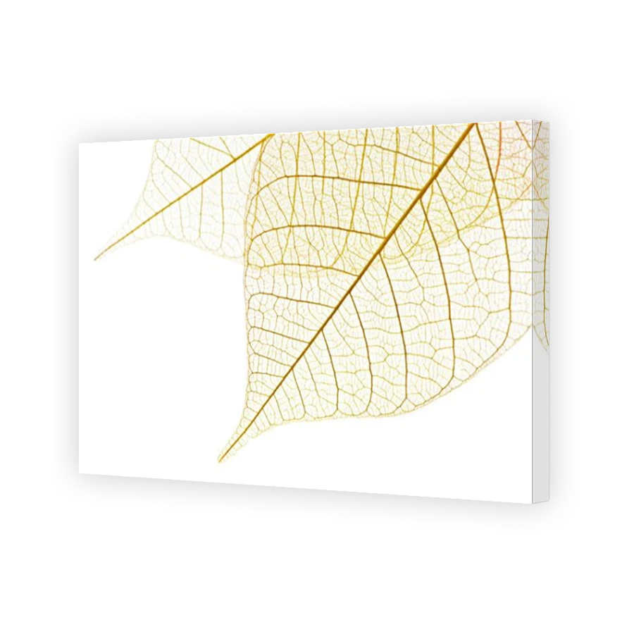 Thumbnail for Canvas - Mirror Image Canvas Wrap