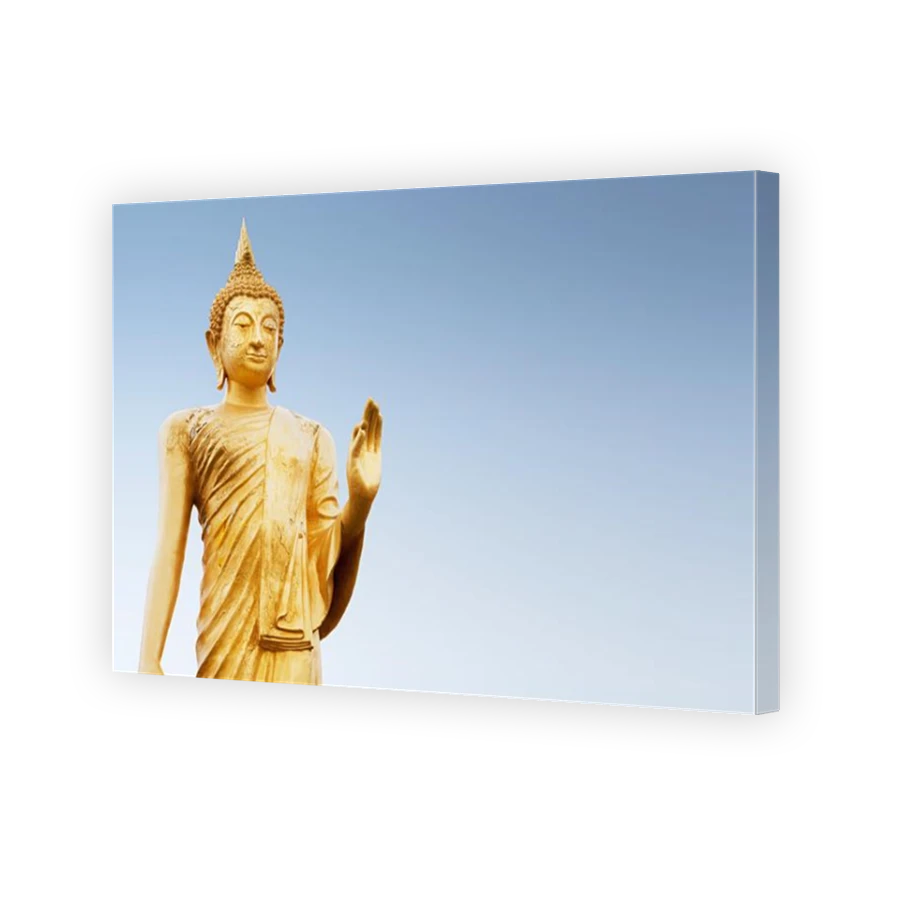 Thumbnail for Canvas - Mirror Image Canvas Wrap