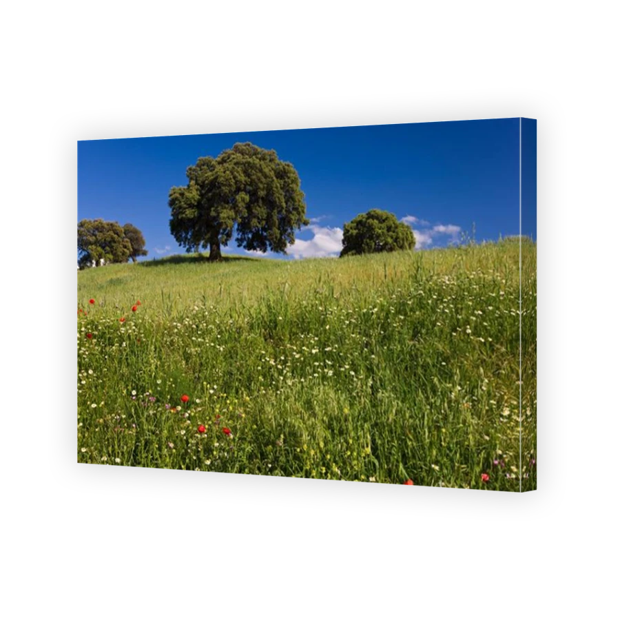 Thumbnail for Canvas - Mirror Image Canvas Wrap