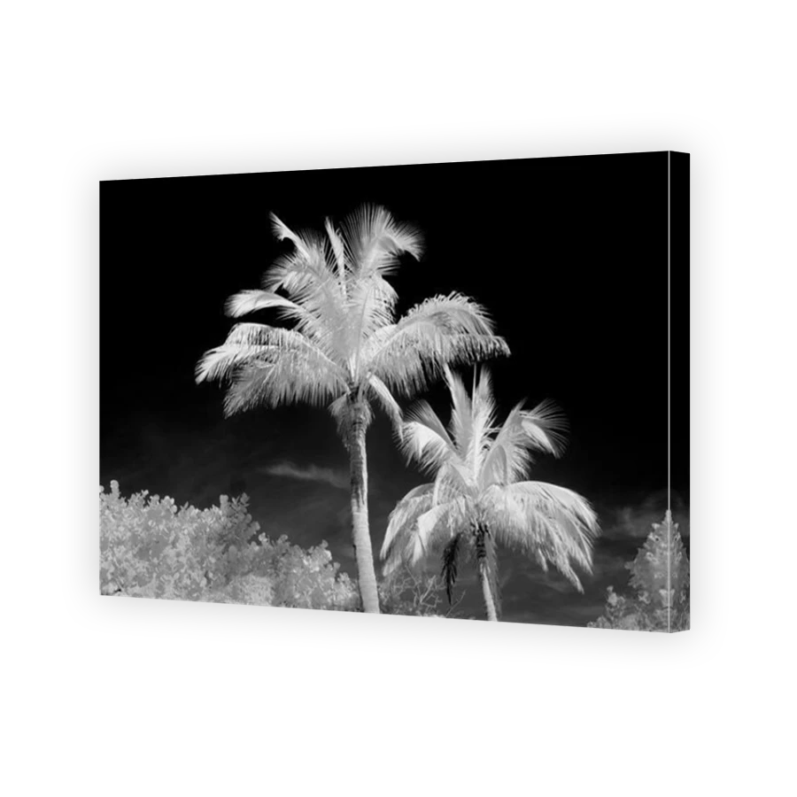 Thumbnail for Canvas - Mirror Image Canvas Wrap