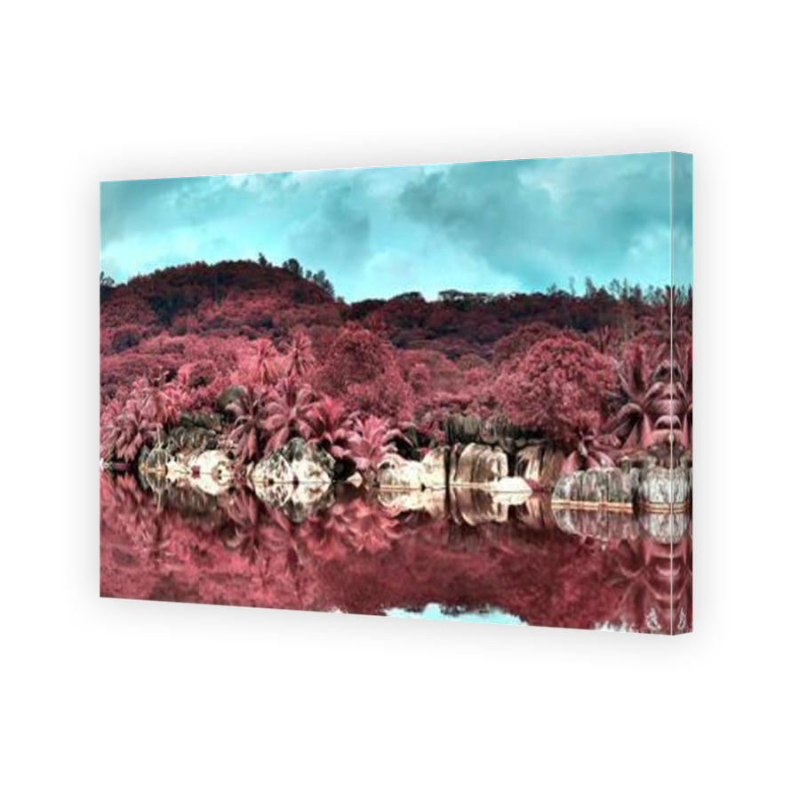 Thumbnail for Canvas - Mirror Image Canvas Wrap