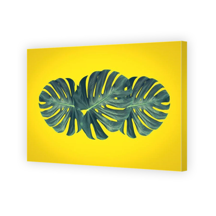Thumbnail for Canvas - Mirror Image Canvas Wrap