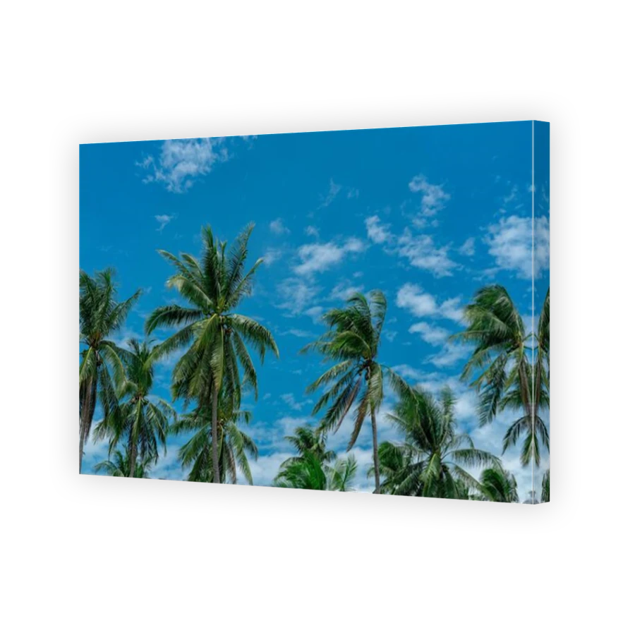 Thumbnail for Canvas - Mirror Image Canvas Wrap