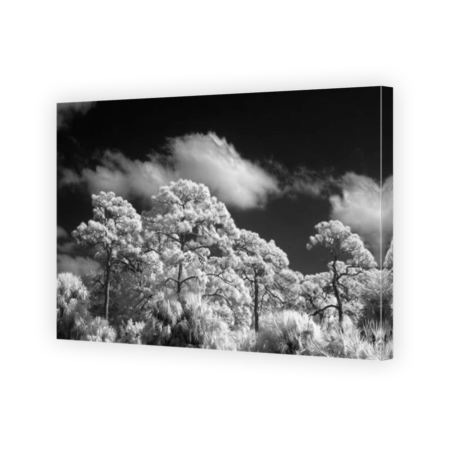 Thumbnail for Canvas - Mirror Image Canvas Wrap