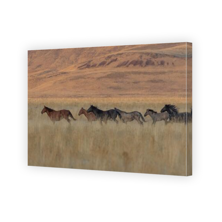 Thumbnail for Canvas - Mirror Image Canvas Wrap