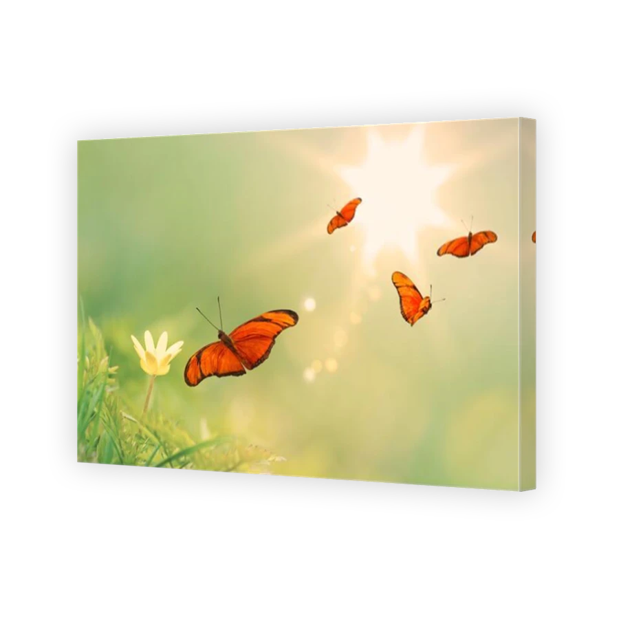 Thumbnail for Canvas - Mirror Image Canvas Wrap