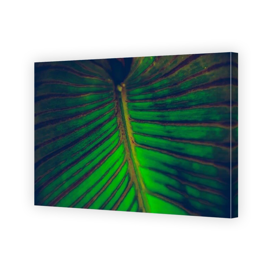 Thumbnail for Canvas - Mirror Image Canvas Wrap
