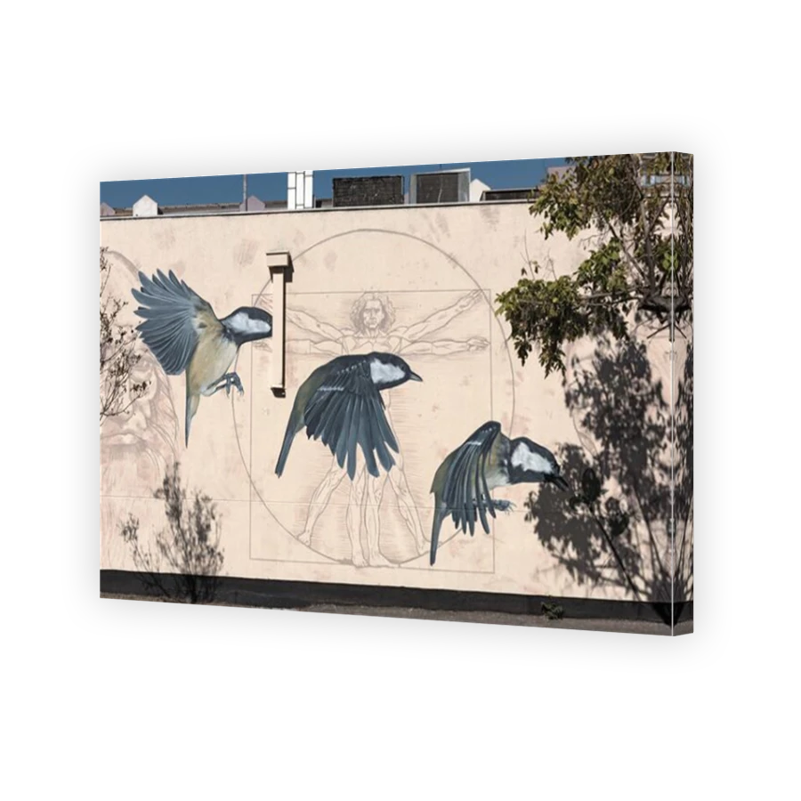 Thumbnail for Canvas - Mirror Image Canvas Wrap