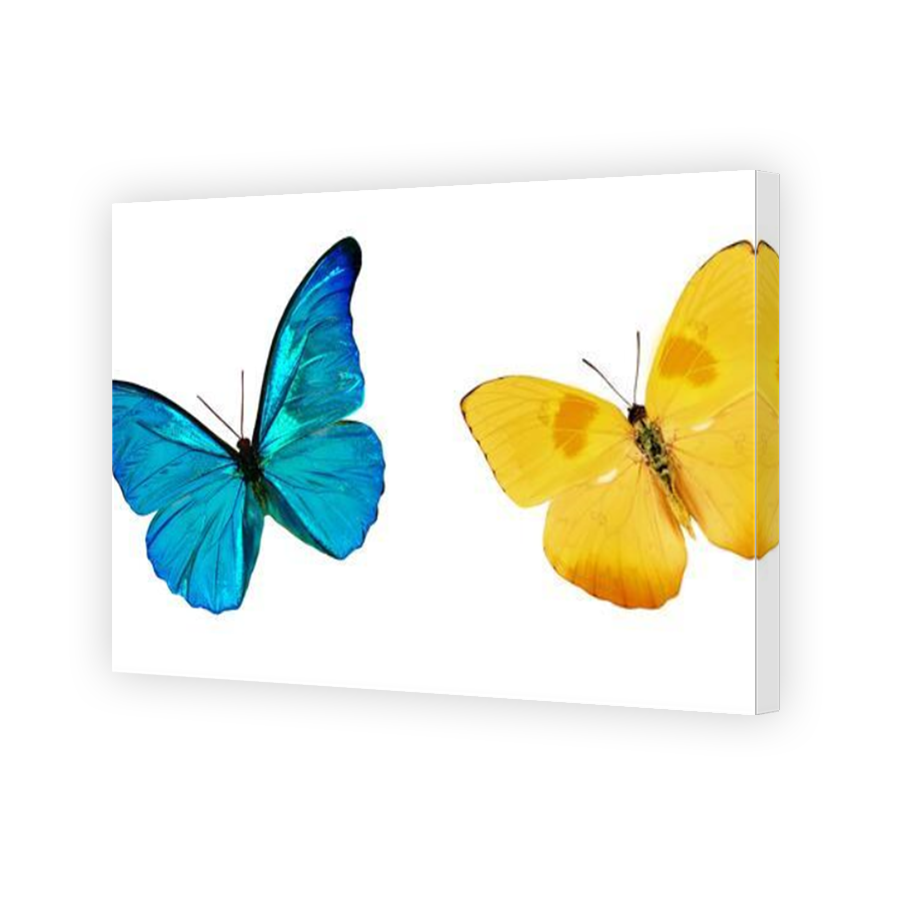 Thumbnail for Canvas - Mirror Image Canvas Wrap