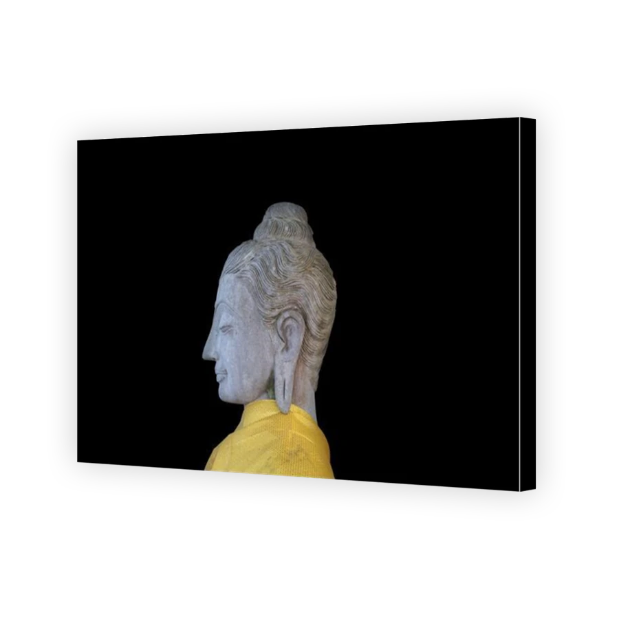 Thumbnail for Canvas - Mirror Image Canvas Wrap
