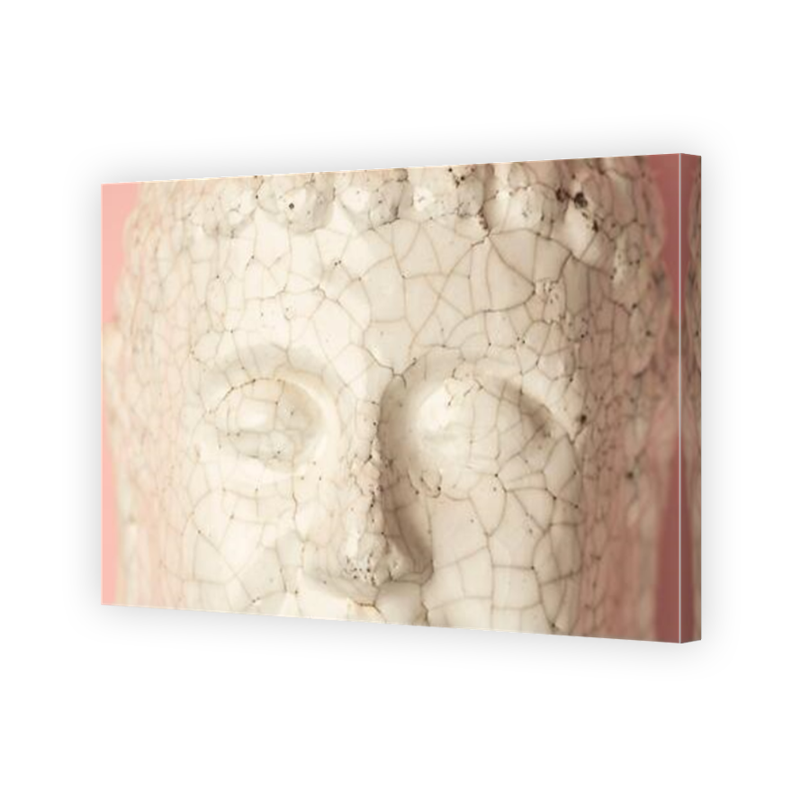 Thumbnail for Canvas - Mirror Image Canvas Wrap