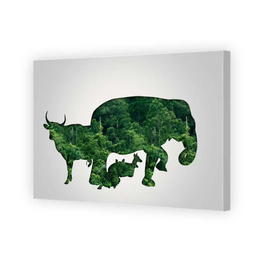 Thumbnail for Canvas - Mirror Image Canvas Wrap