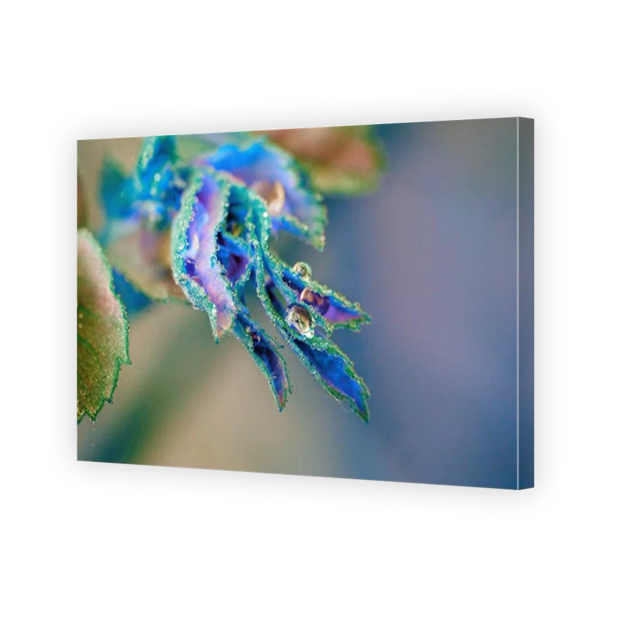 Thumbnail for Canvas - Mirror Image Canvas Wrap