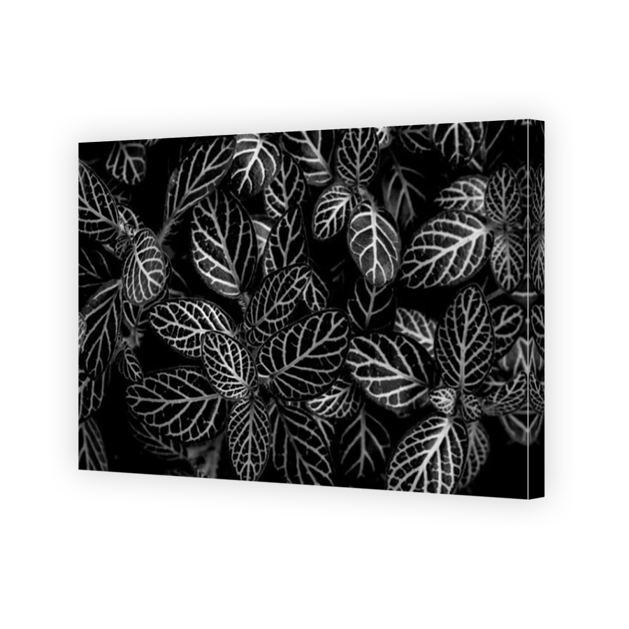 Thumbnail for Canvas - Mirror Image Canvas Wrap