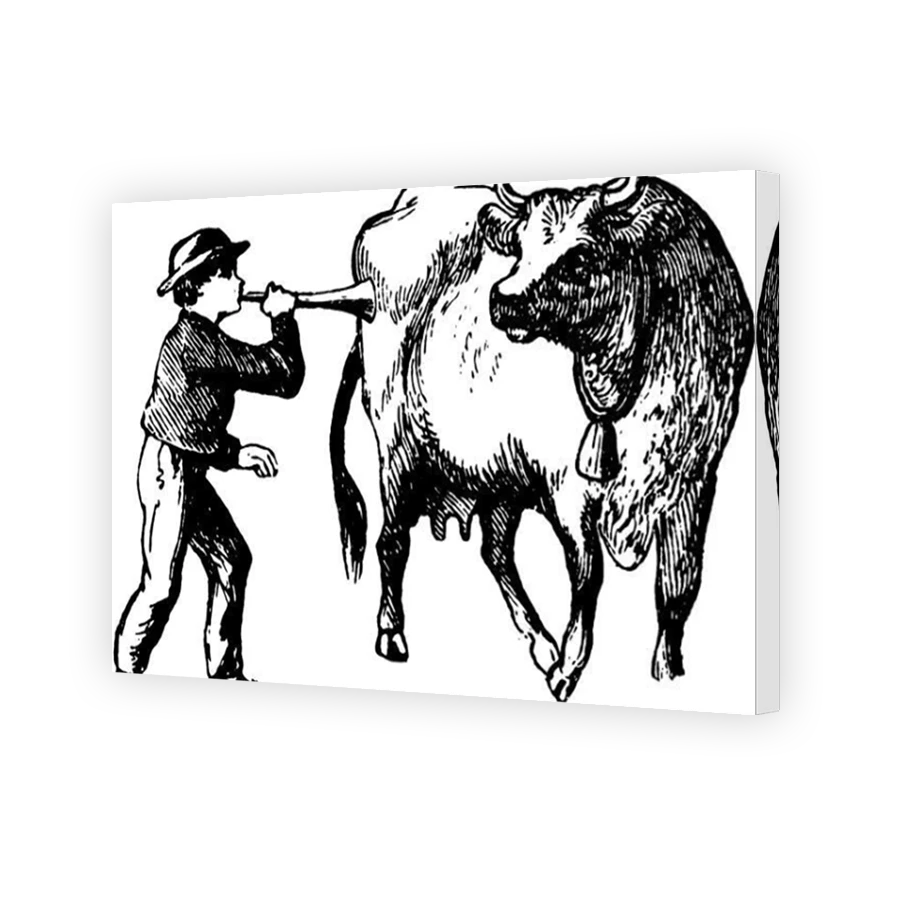 Thumbnail for Canvas - Mirror Image Canvas Wrap